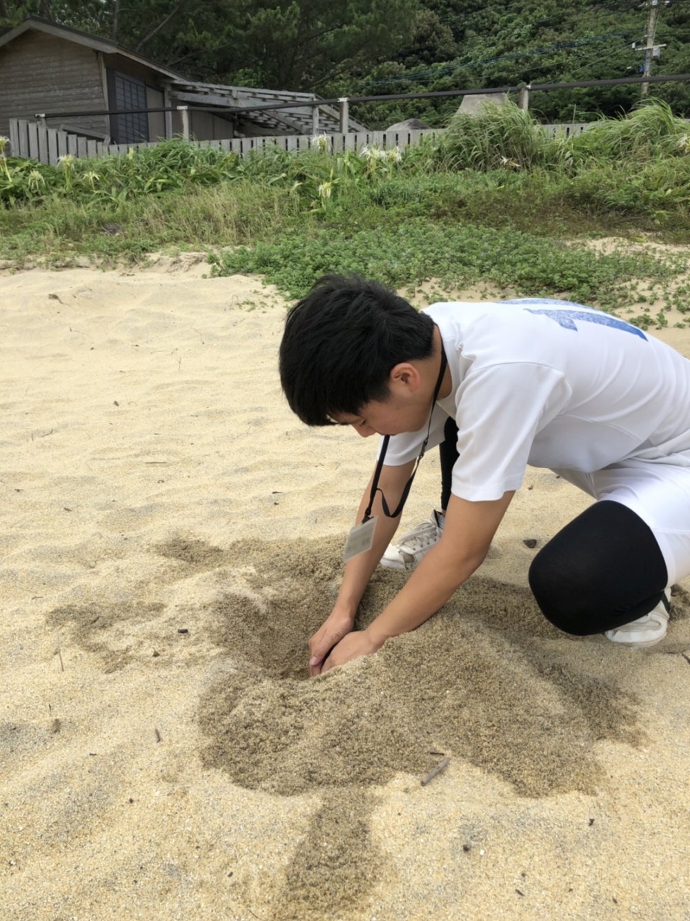 いなか浜での砂の採集